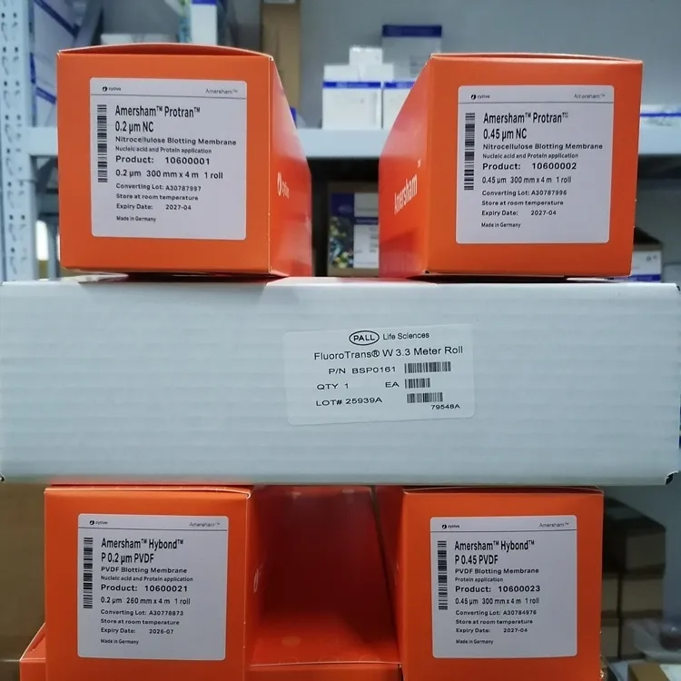 實驗室用品Pall 頗爾 Biodyne轉印膜
