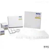 日本進口東洋玻璃濾紙