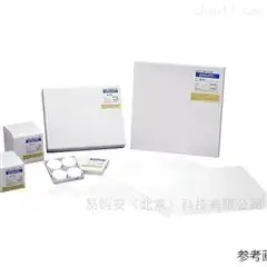 日本進口東洋玻璃濾紙
